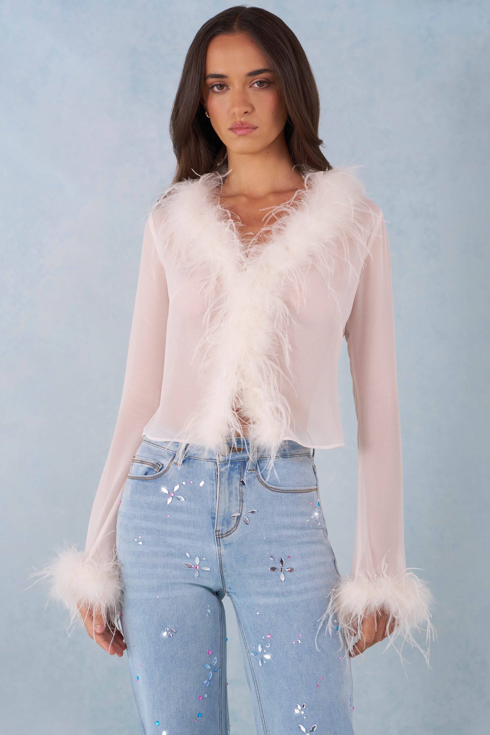 Faux Fur-Trim Sheer Top in Ivory