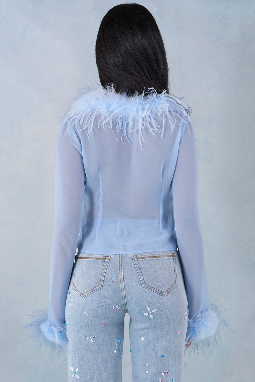 Faux Fur-Trim Sheer Top in Soft Blue