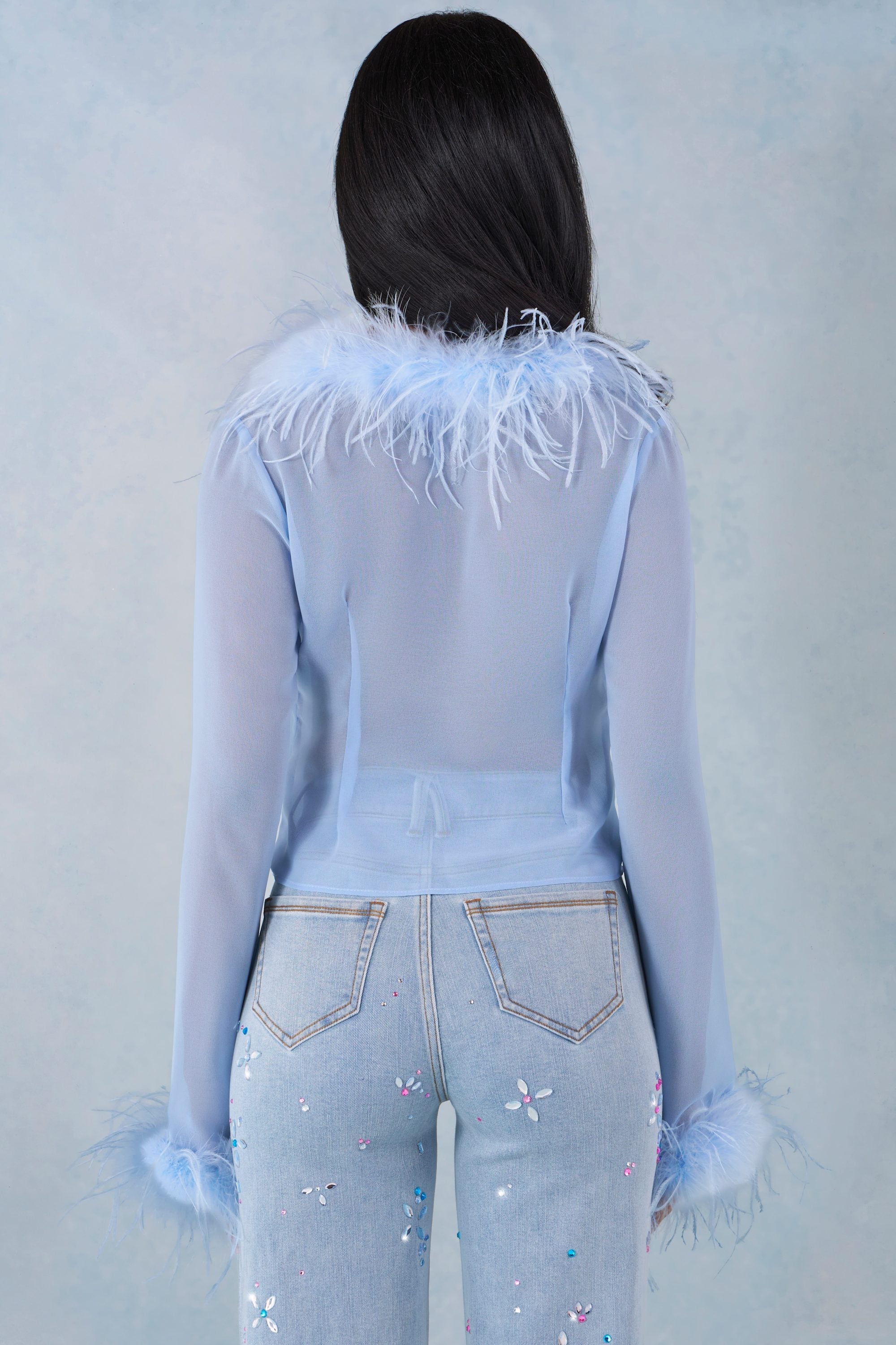 Faux Fur-Trim Sheer Top in Soft Blue