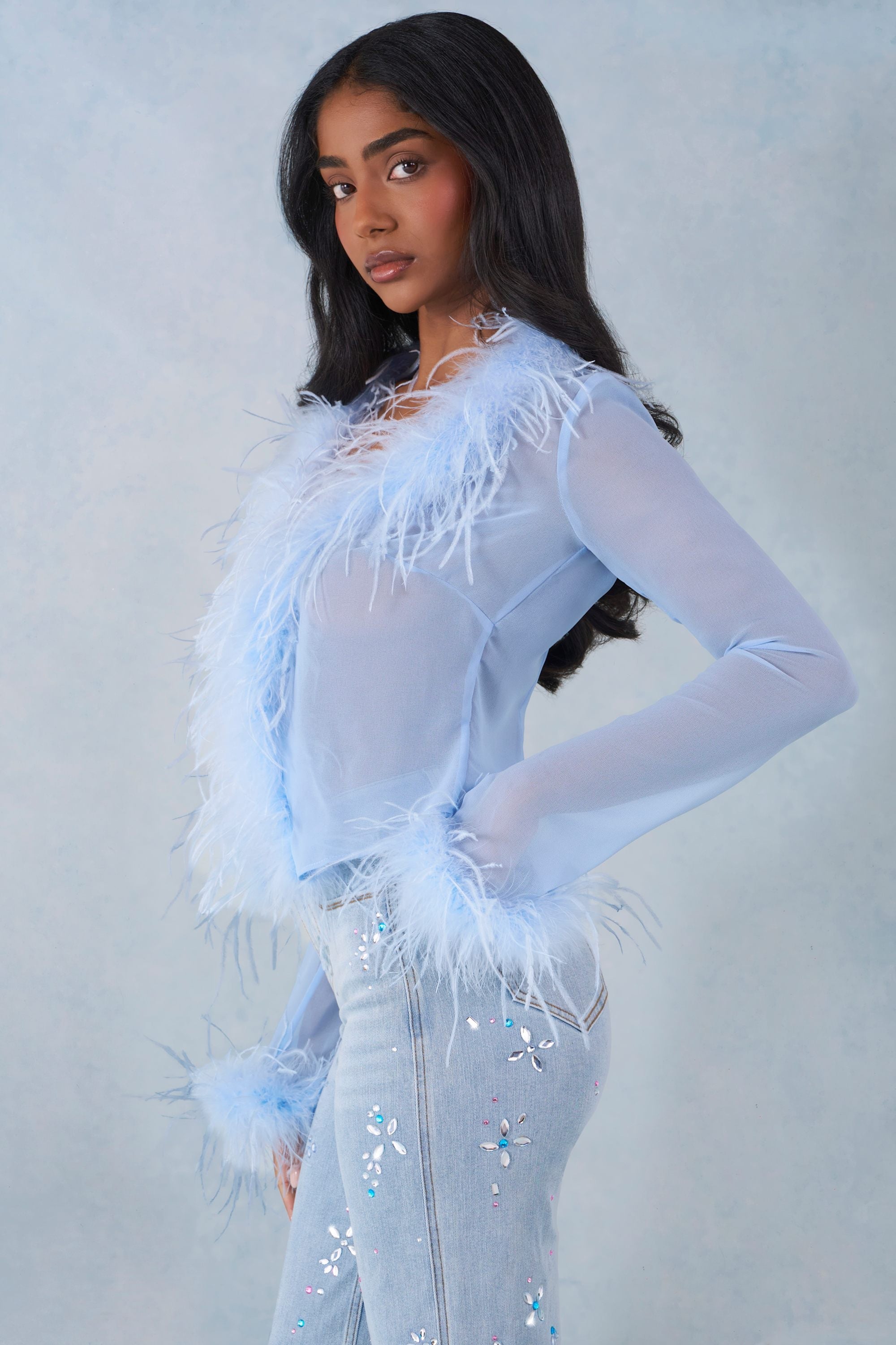 Faux Fur-Trim Sheer Top in Soft Blue
