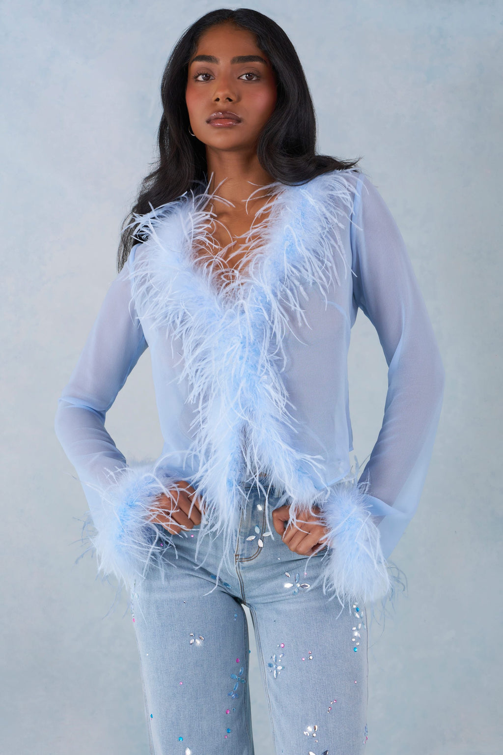 Faux Fur-Trim Sheer Top in Soft Blue