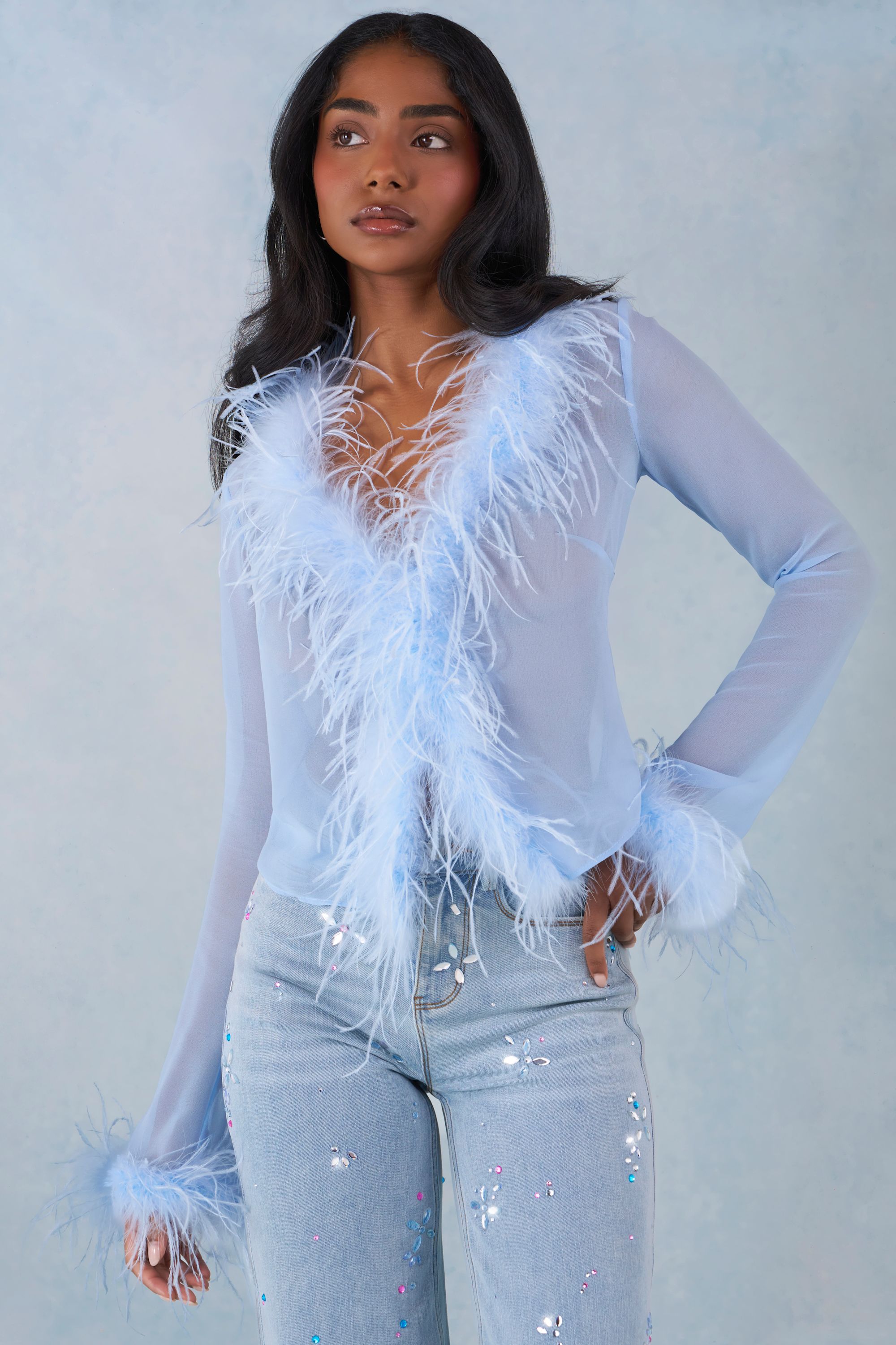 Faux Fur-Trim Sheer Top in Soft Blue