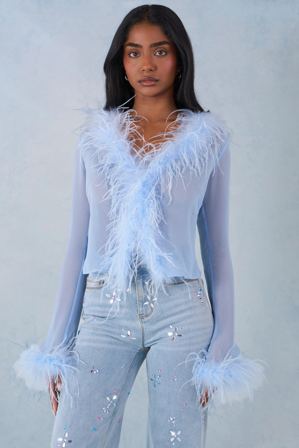 Faux Fur-Trim Sheer Top in Soft Blue